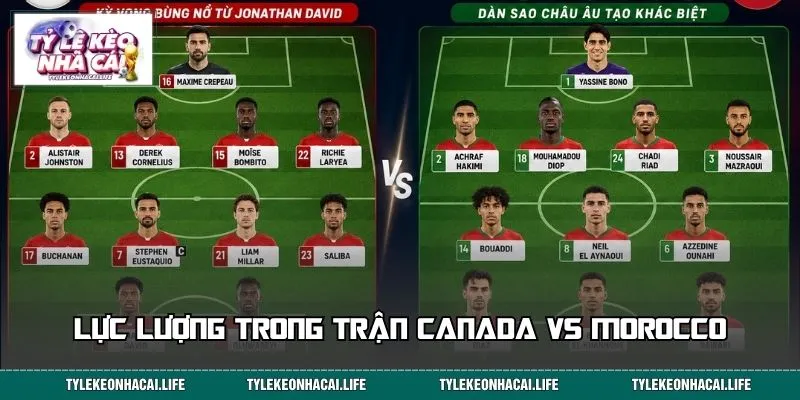 Lực lượng trong trận Canada vs Morocco được đánh giá cao