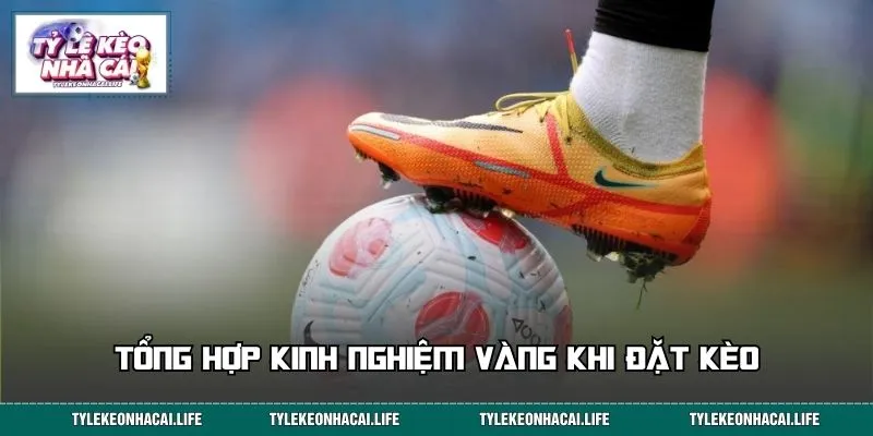 Tổng hợp kinh nghiệm vàng khi đặt kèo 